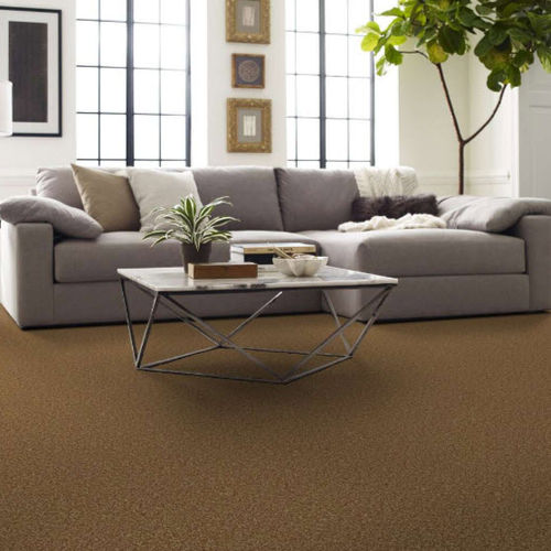 Тафтинговое ковровое покрытие - CORK - Shaw floors - нейлоновое / однотонное / бежевое