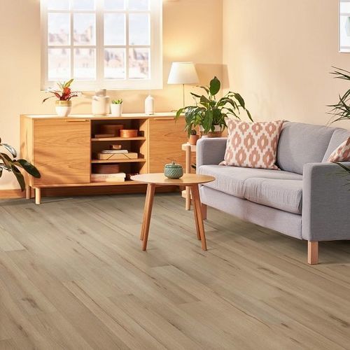 Виниловое напольное покрытие - 2665V-02160 - Shaw floors - внутреннее / для внутреннего применения / для гостиницы