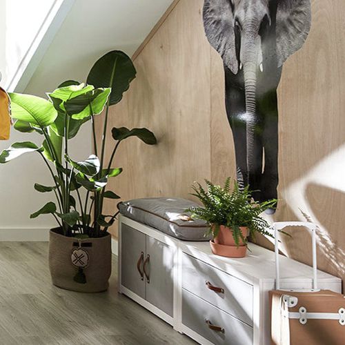 Подушка для скамейки - 7066 - LIFETIME Kidsrooms - прямоугольная / однотонная / для бытового использования