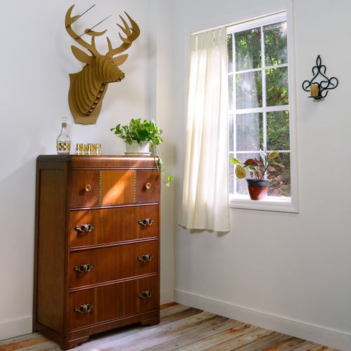 Скульптура из картона - BUCKY DEER HEAD - cardboard safari - настенная