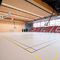 спортивное покрытие для интерьераLUMAFLEX ENERGY LINOSPORT XF&sup2;Tarkett Sports Indoor