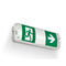 выступающее аварийное освещениеBULKHEADPhilips LIGHTING France INDAL