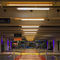 видимый светильникACTiTube40S RGBWACTiLED Lighting