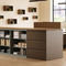 мобильный шкаф для храненияLUNORKIMBALL Office