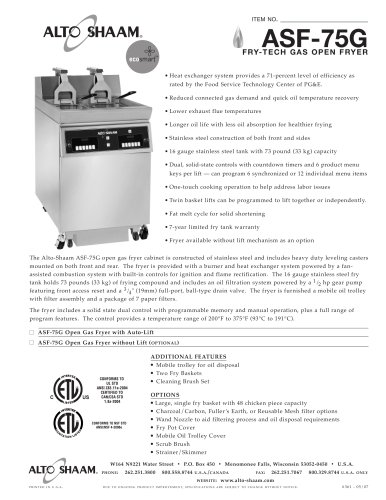 Commercial gas fryer