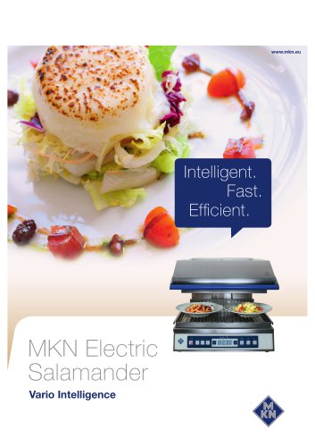 MKN Electric  Salamander