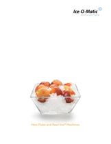 Flake and Pearl Ice - Brochure