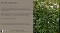 Jali_Pattern_Descriptions.pdf