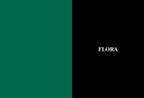 Flora