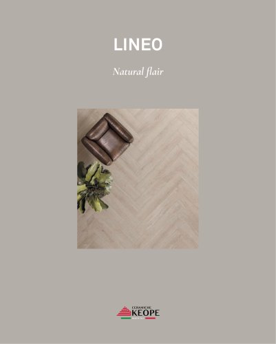 CATALOGO LINEO