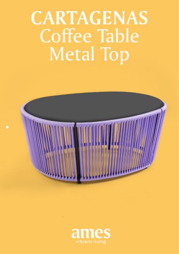 Ames_Cartagenas_Coffee_Table_Metal_Top