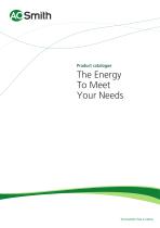 The energy to meet your needs