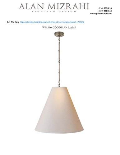 WM540 GOODMAN LAMP