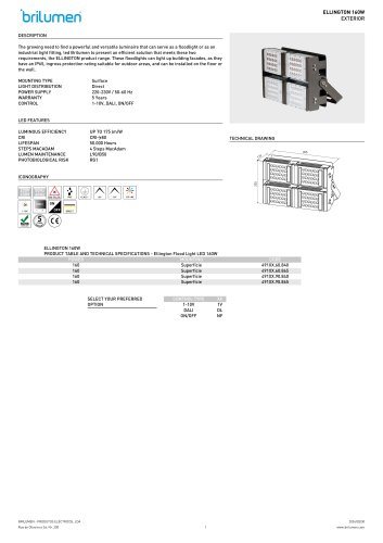 Ellington Flood Light LED 160W