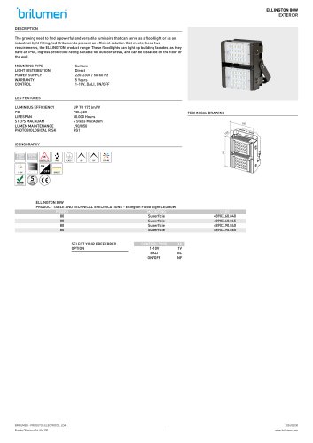 Ellington Flood Light LED 80W