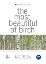 The most beautiful of birch