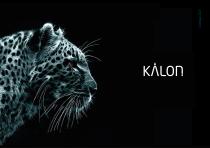 CATALOG KALON