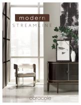 Modern Streamline