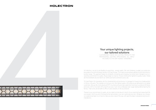 Holectron product catalogue