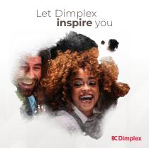 Dimplex 2020/2021