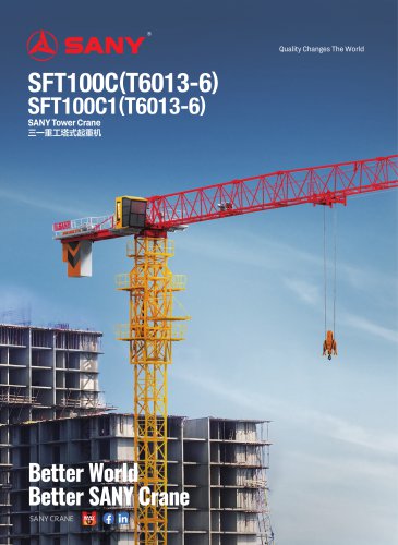 Tower Crane-SFT100C1(T6013-6)