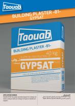 BULDING PLASTER