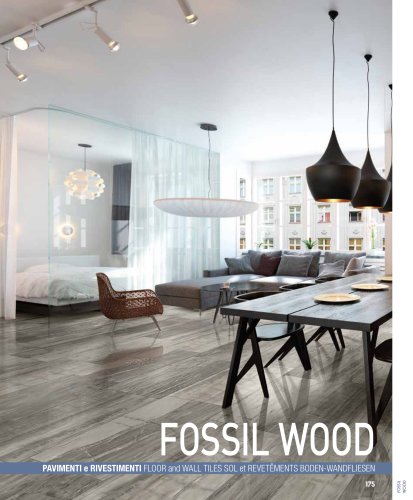 Fossil Wood