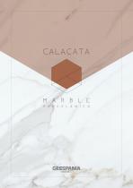 CALACATA-Porcelin Tiles