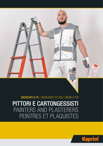 PAINTERS AND PLASTERERS