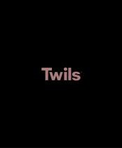 Twils Night ...and More