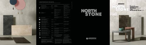 north stone_fy