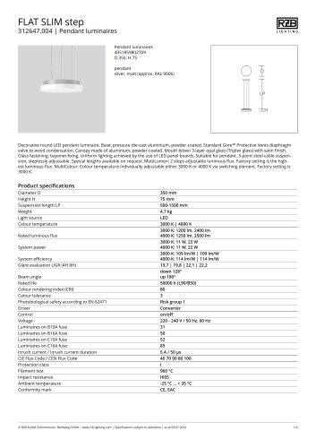 FLAT SLIM step para