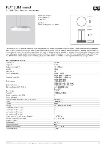 pendant luminaire