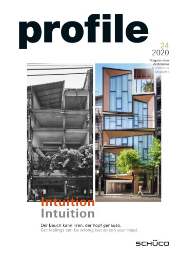 Special Issue BAU 2019