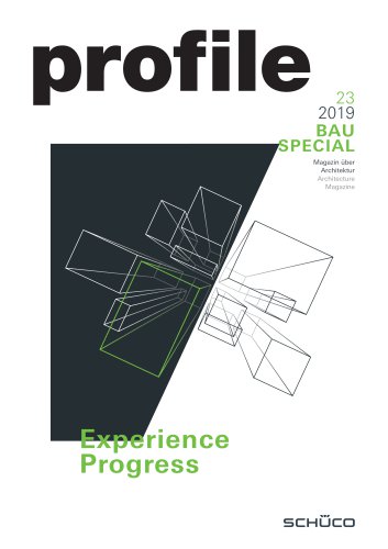 Special Issue BAU 2019