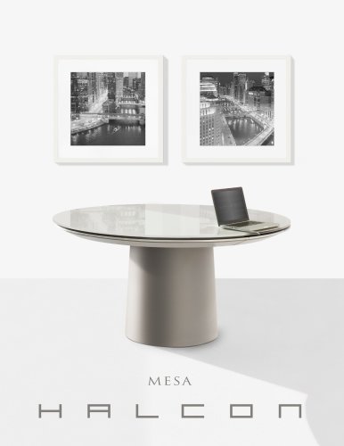 Mesa Brochure