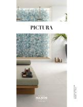 Pictura