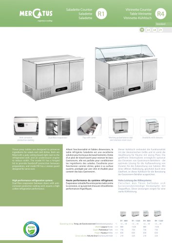 R1 & R4 Saladette Counter