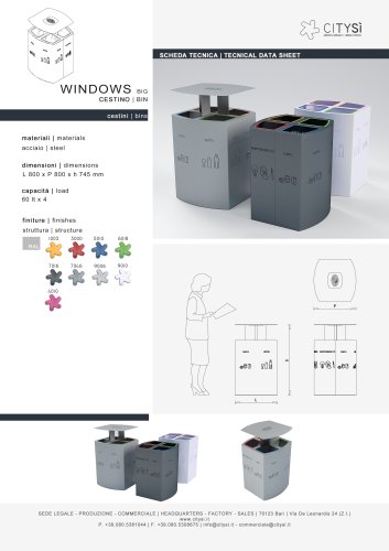 WINDOWS BIG BIN