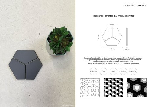 Product sheet-Hexagonal Tomettes-in-3-modules shifted-Normandy Ceramics