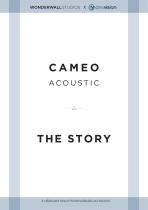 Cameo Elevator Pitch