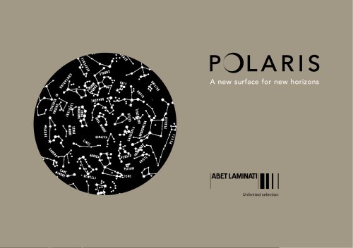 POLARIS A new surface for new horizons