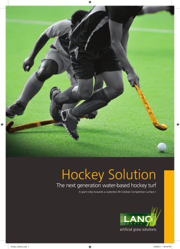 Hockey Solution