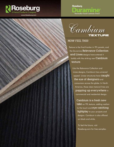 Duramine Cambium Texture