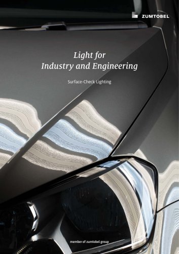 Light for Industry and Engineering: Surface-Check Lighting