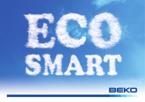 EcoSmart